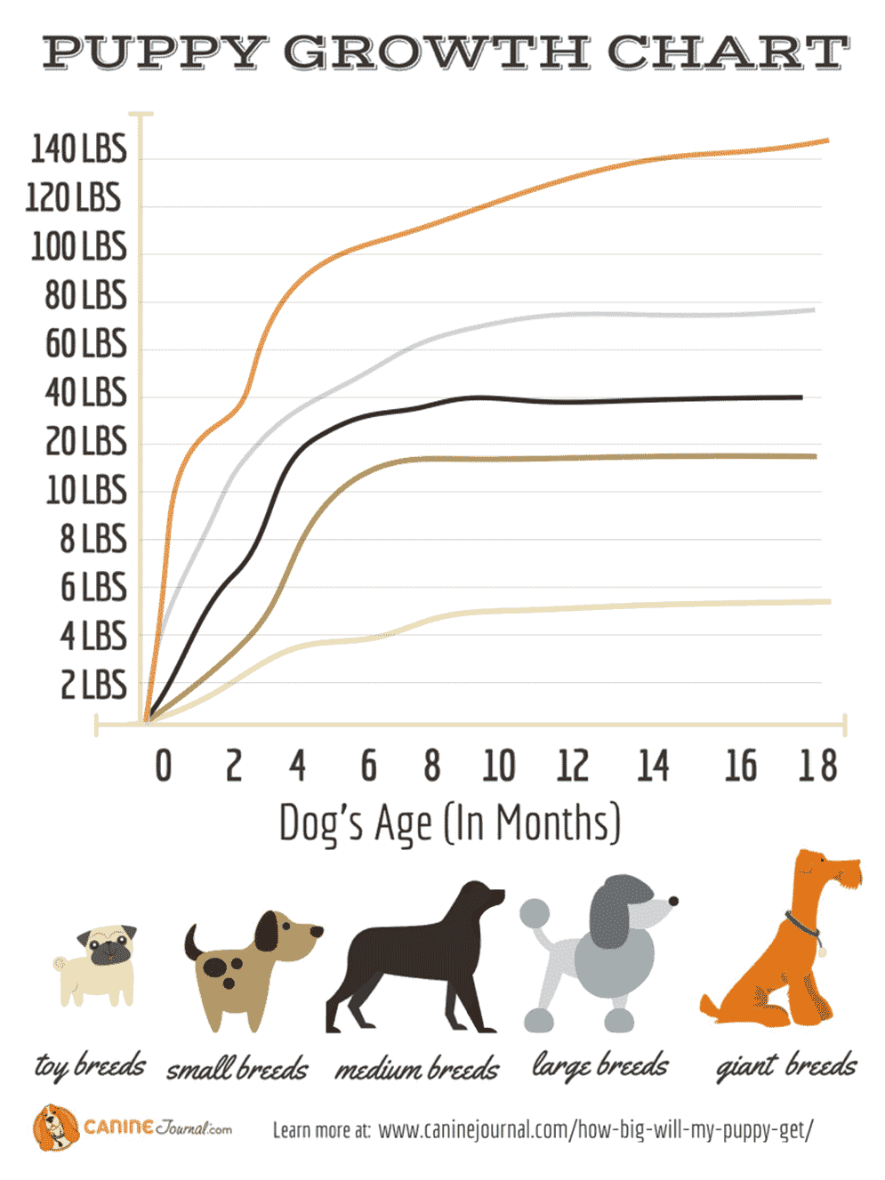 all-dog-weight-growth-chart | Black Labrador Dog