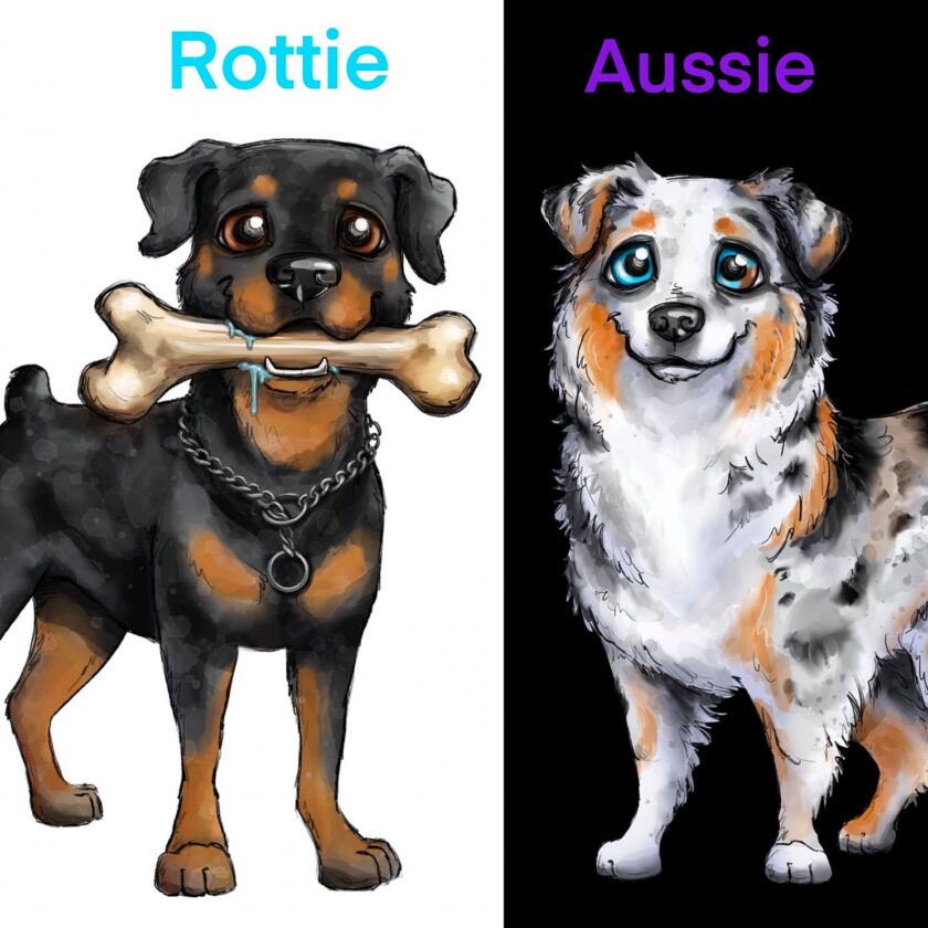 Aussie Rottie mix