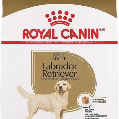 royal canin food